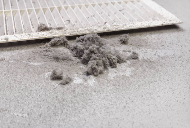 Reliable Munising, MI Airduct Cleaning Solutions