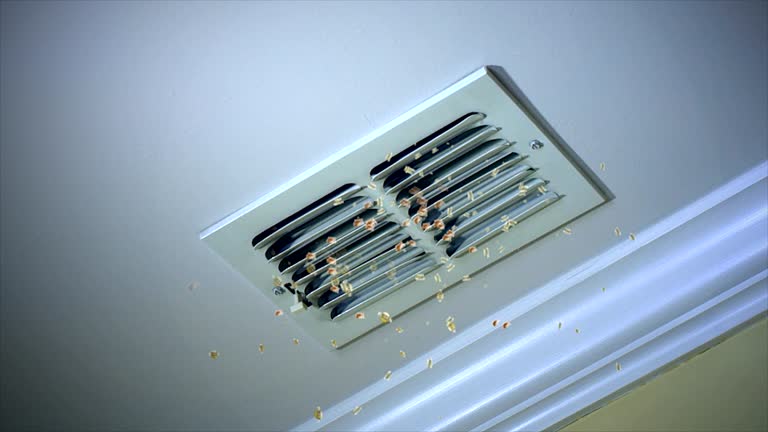 Best Ventilation Cleaning Services  in Munising, MI